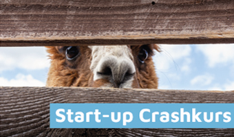 Start-Up Crashkurs 